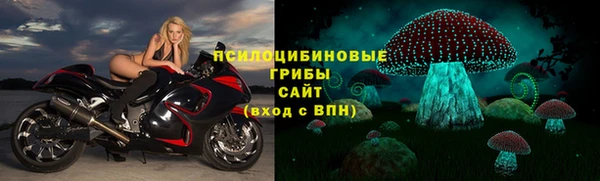 героин Алексин