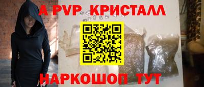 стафф Кингисепп
