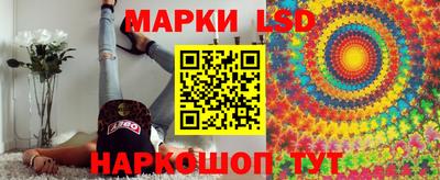 МДПВ Камышлов