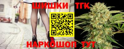 МДПВ Камышлов