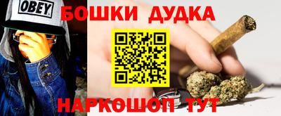 МДПВ Камышлов