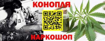 МДПВ Камышлов