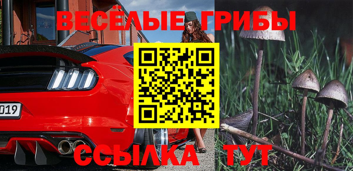 Кострома  Галлюциногенные грибы мухоморы  Вход с VPN 