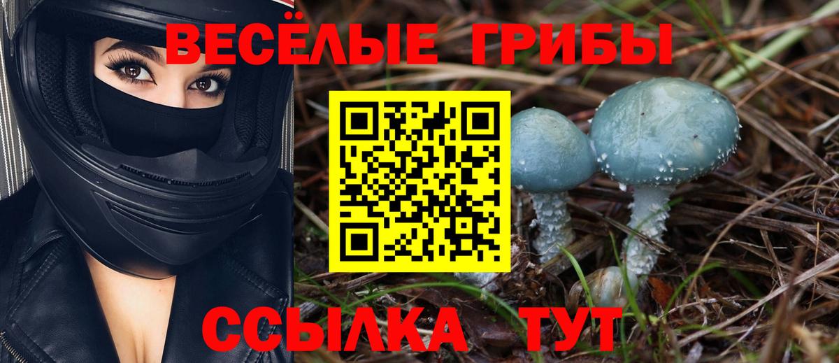 Галлюциногенные грибы мухоморы Кострома